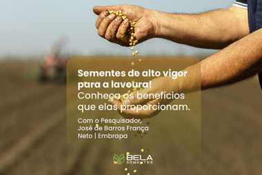 Sementes de Alto Vigor Sementes de Alto Vigor