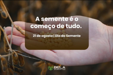 Dia da Semente Dia da Semente
