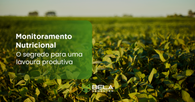 Monitoramento Nutricional Monitoramento Nutricional