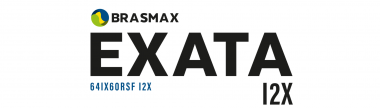 BRASMAX - EXATA